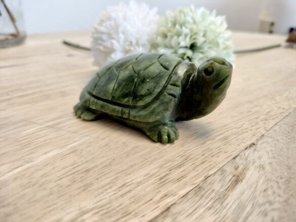 Serpetijn Schildpad