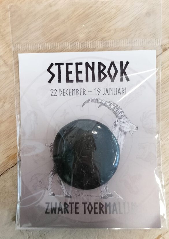 Sterrenbeeld steen Steenbok