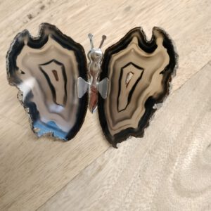 Vlinder agaat met zwart