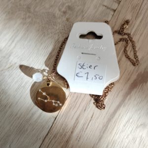 Ketting Stier