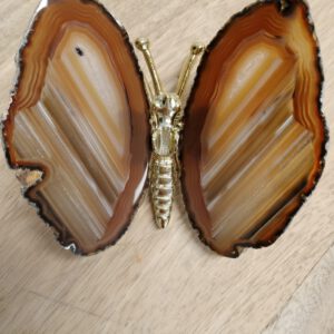 Vlinder agaat met strepen