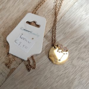 Ketting Leeuw